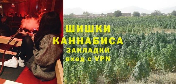 шишки Алексин
