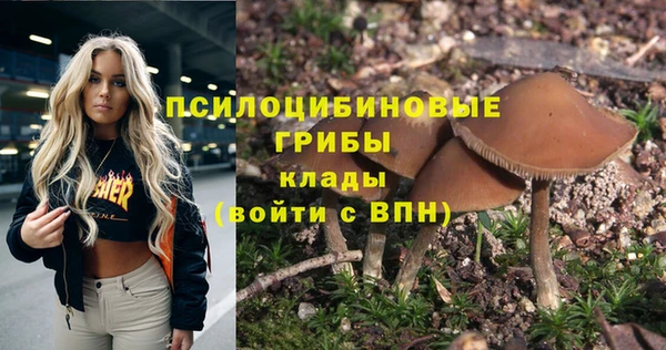 шишки Алексин