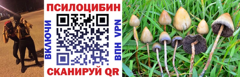 hydra сайт  shop состав  Когалым  Галлюциногенные грибы MAGIC MUSHROOMS  купить  цена 