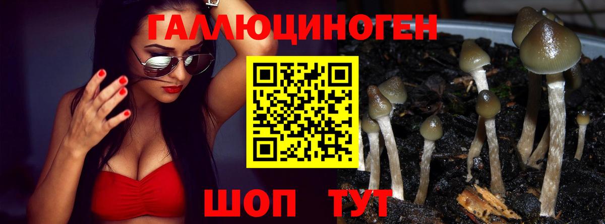 Когалым  Галлюциногенные грибы прущие грибы  Вход с VPN 